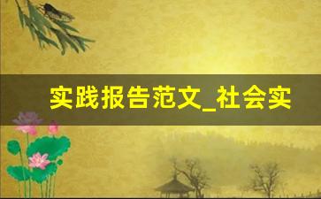 实践报告范文_社会实践 报告